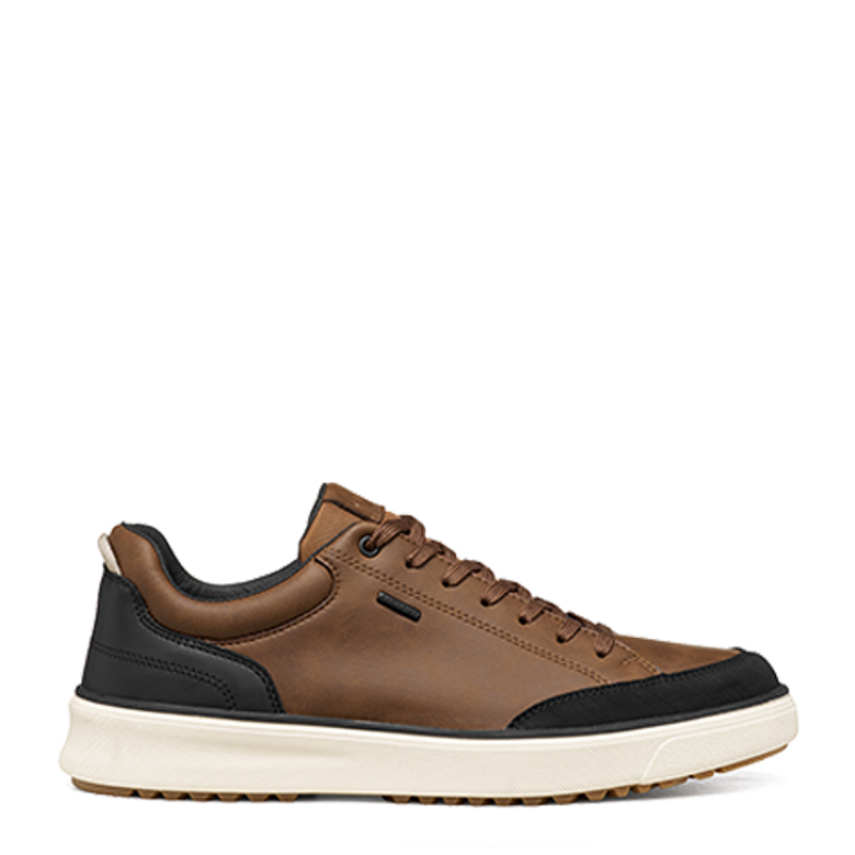 GEOX CENISIO Sneaker in braun