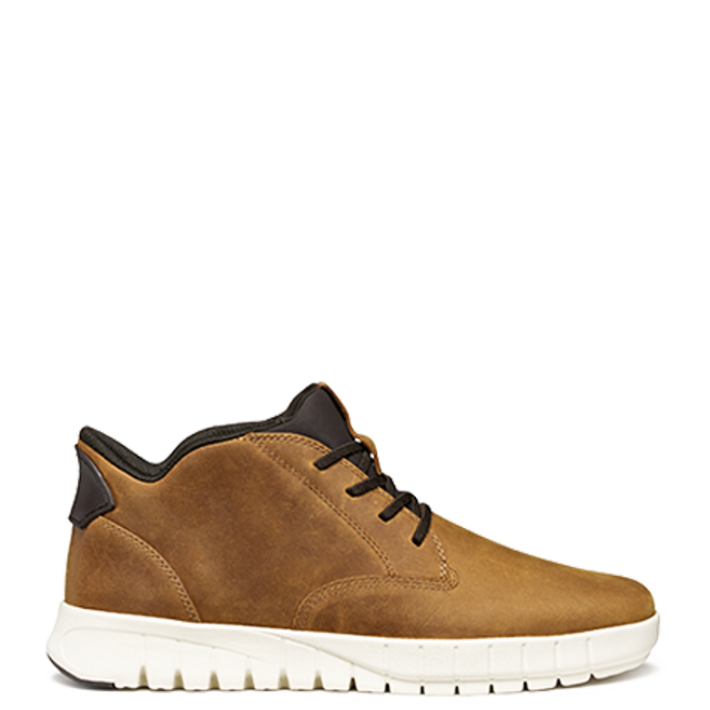 GEOX FLEXTRIDE sneaker in brown