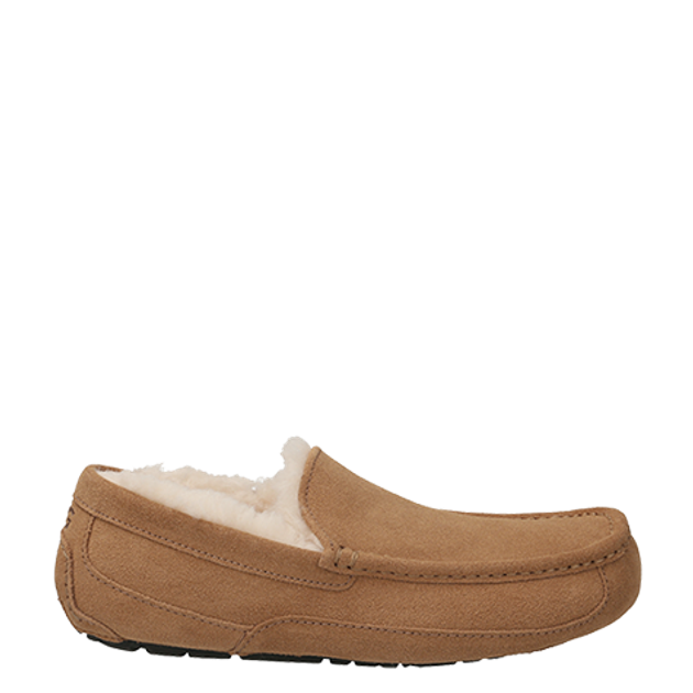 UGG 1101110-CHE ASCOT warm lining in brown