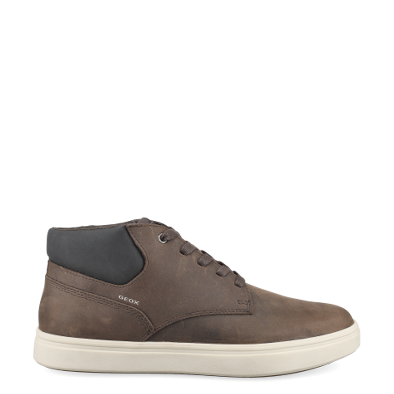 GEOX BALTMOORE Boots in brown