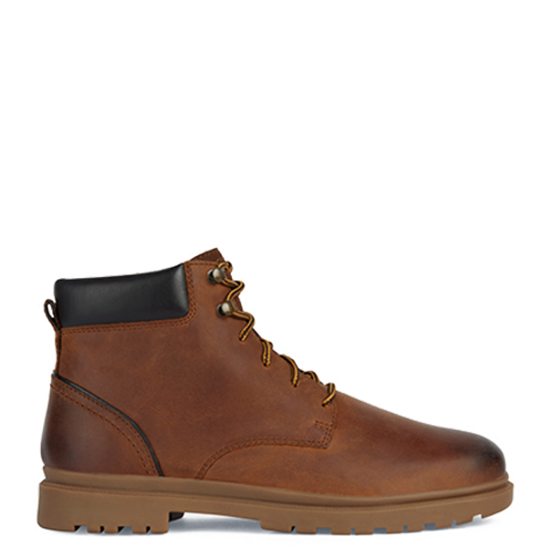 GEOX ANDALO boots in brown