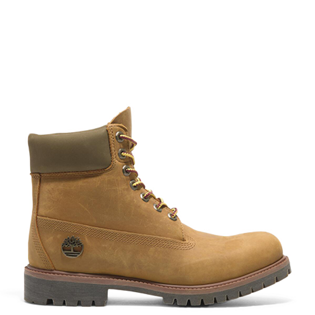 Timberland A2P6W Premium 6 INCH LACE UP Boots in brown