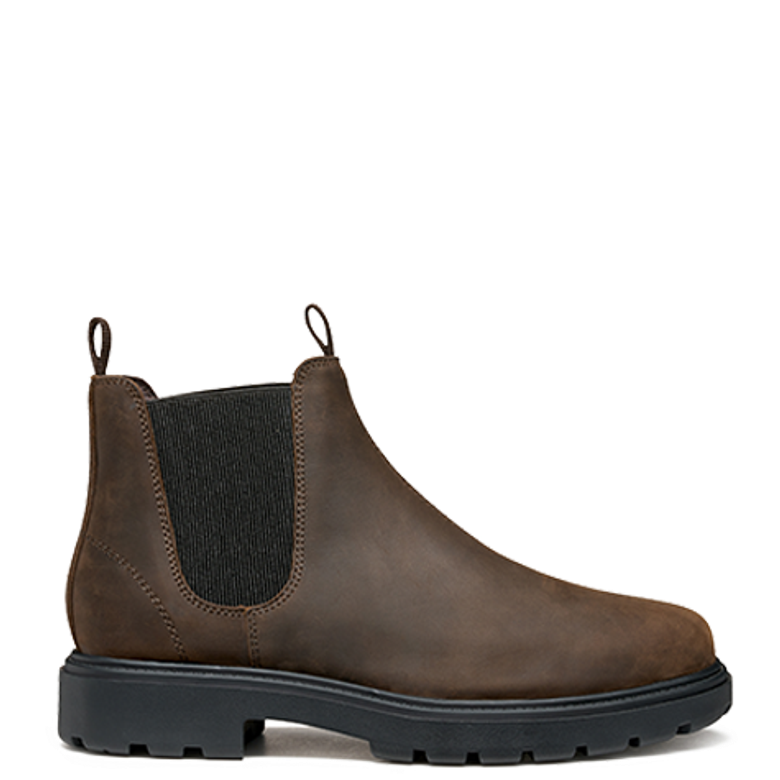 GEOX SPHERICA ankle boots in brown