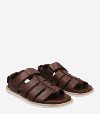 Timberland A5T48 Lincoln Peak Strap Sandaletts in brown buy