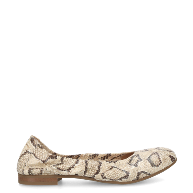 Donna Carolina CLARA BASIC 57.170.034-004 Ballerina in beige