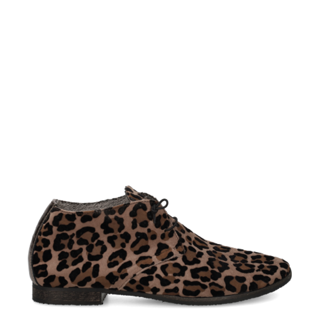 Donna Carolina BURANO SNOW 56.673.145W-002 Lace-up shoes in brown