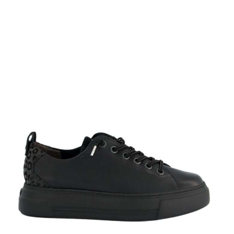 Paul Green 5465-008 sneaker in black