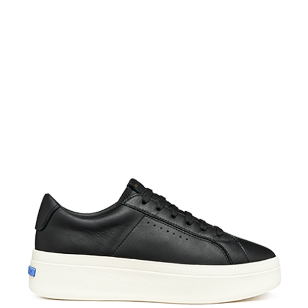 GEOX GXCP-03 sneaker in black