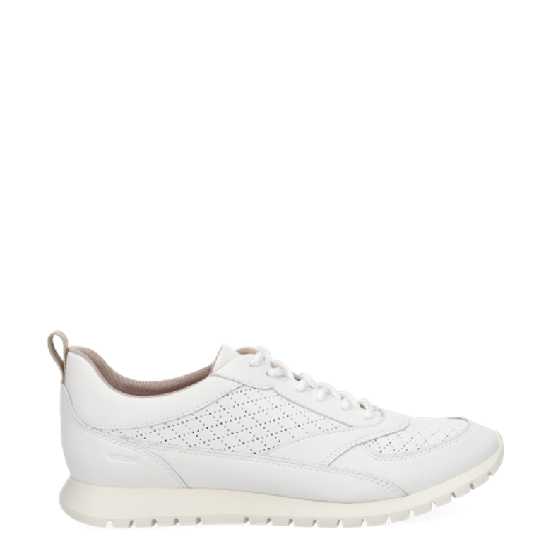 GEOX SUKIE 2.0 sneaker in white