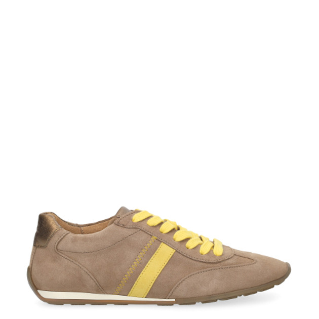 Gabor 3.191.14_8 sneaker in brown