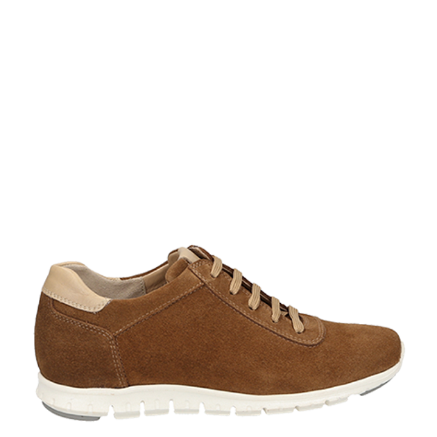Perlato 11395 MONKS sneaker in brown