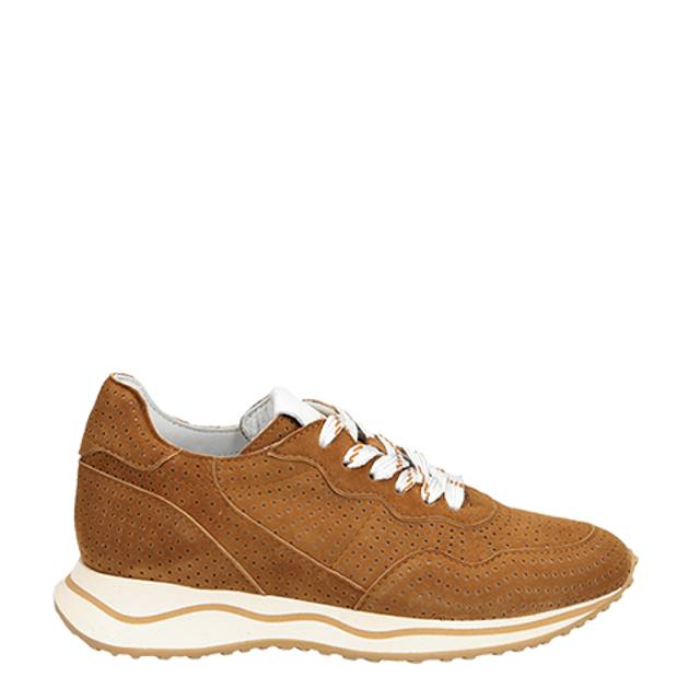 Maripé CORINNE VAR 6 sneaker in brown