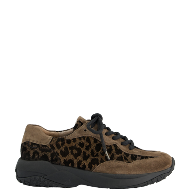 Paul Green 5420-058 sneaker in brown