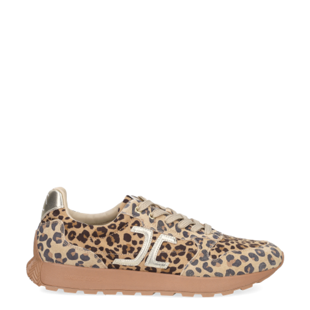 Candice Cooper 2019527.04.4D70 PLUME 5 sneaker in brown