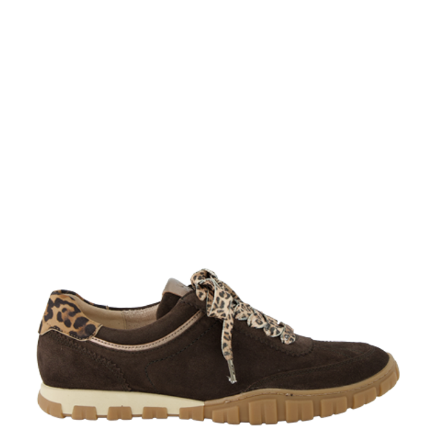 Paul Green 5504-048 sneaker in brown