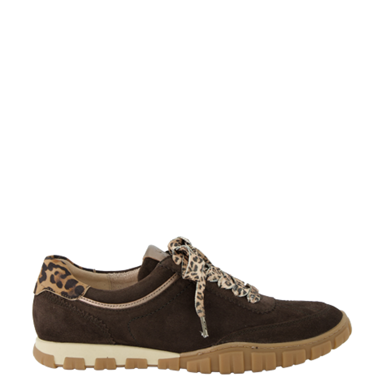 Paul Green 5504-048 sneaker in brown