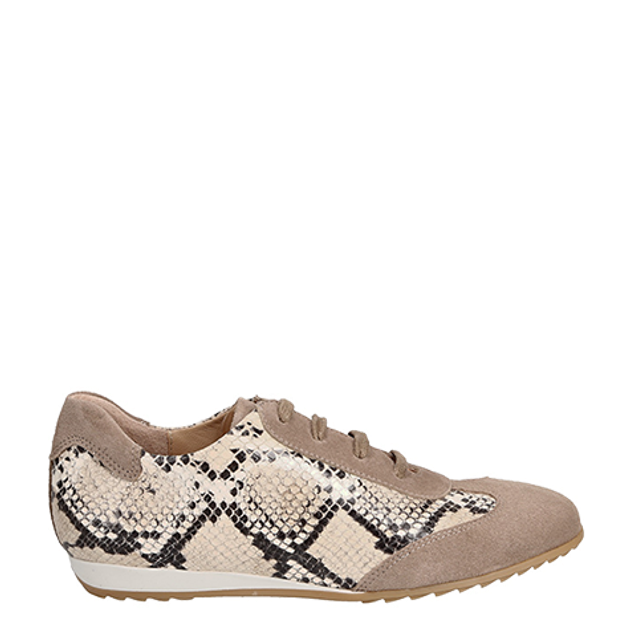 Perlato 11009 sneaker in beige