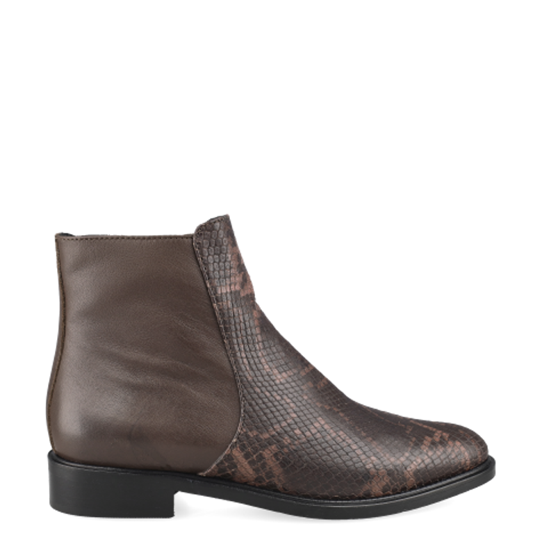 Donna Carolina ESTER LINE BOA CAFFÉ 58.743.092-002 Ankle Boots in Brown