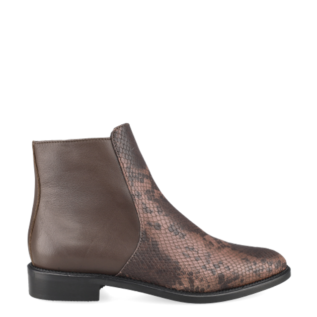 Donna Carolina ESTER LINE BOA CAFFÉ 58.743.092-002 Ankle Boots in Brown