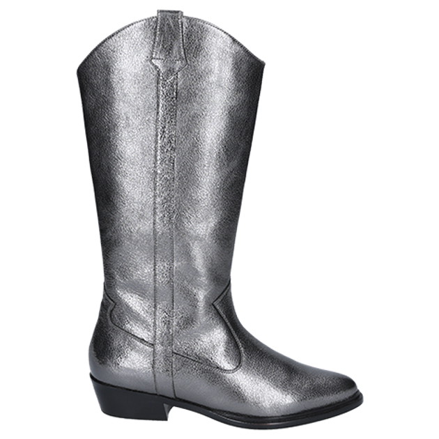 Peter Kaiser 75326 289 Metallic Boots