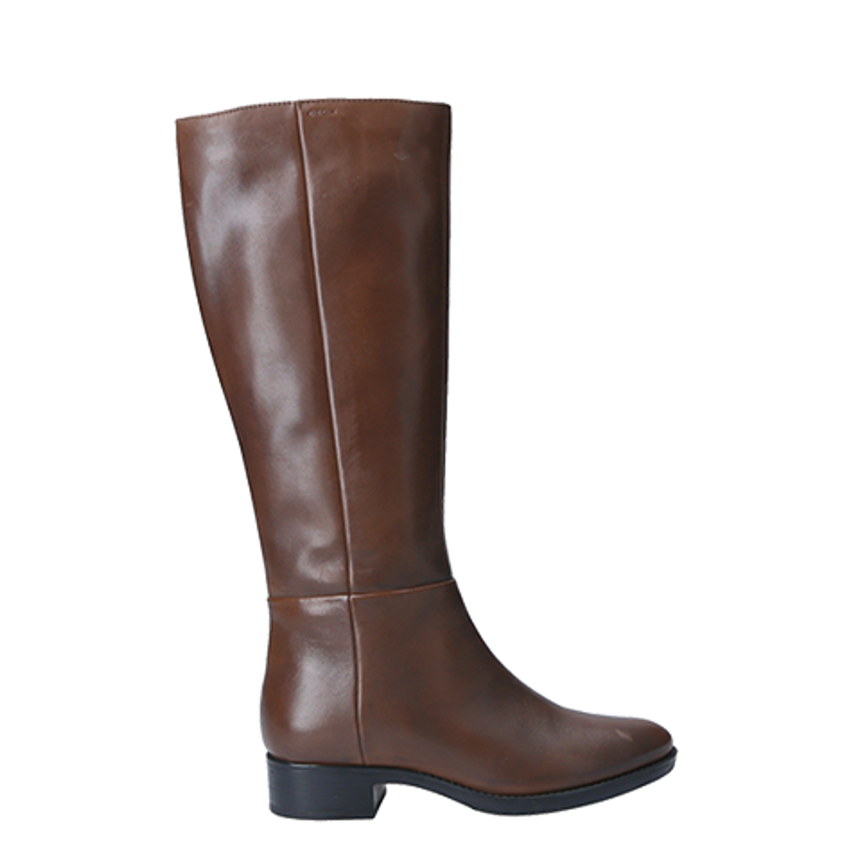 Bota De Cuero Mujer Alta Geox D Felicity D84g1d Brown | Cuotas sin interés Bota De Cuero Mujer Alta Geox D Felicity D84g1d Brown | Cuotas sin interés