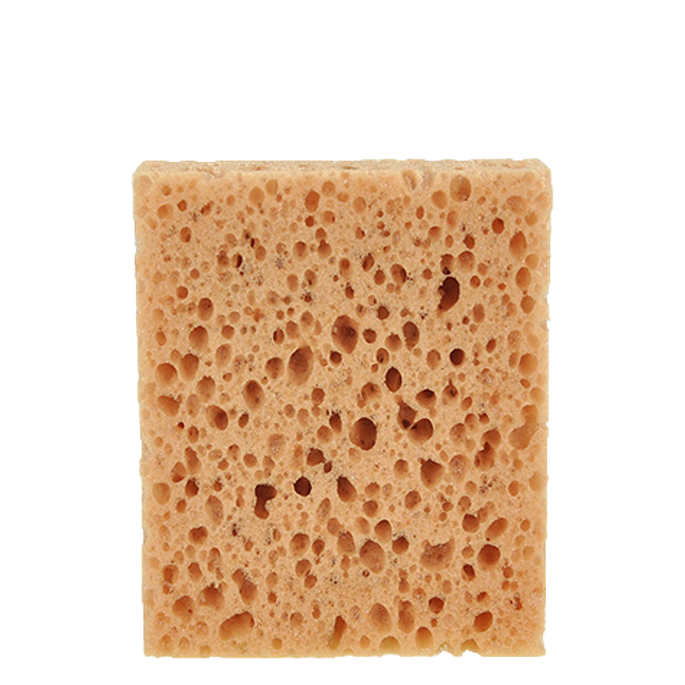 Bergal sponge shoe care in neutral