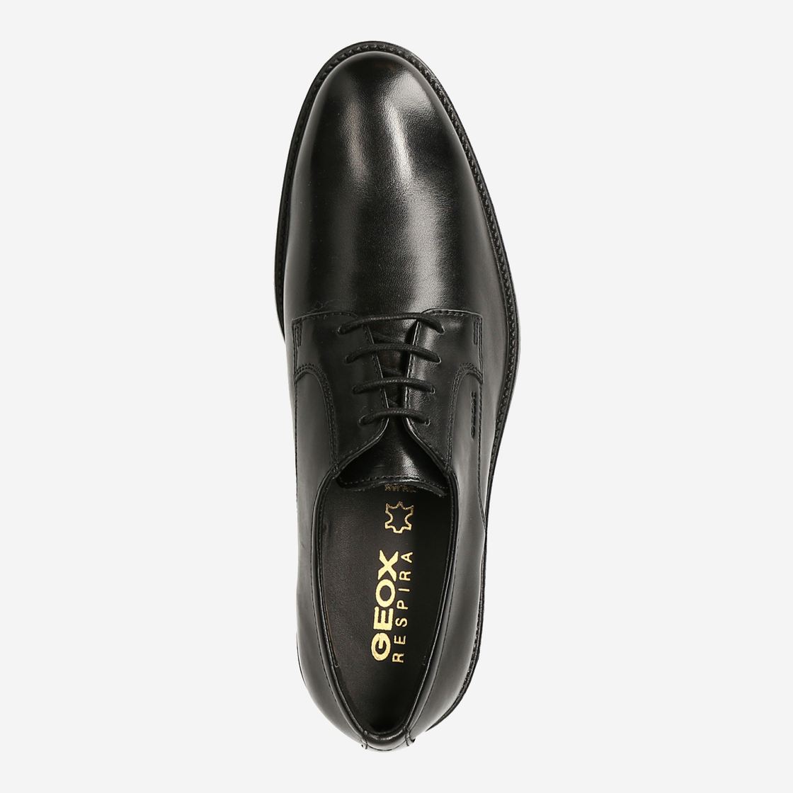 Geox CARNABY - Black - Sole