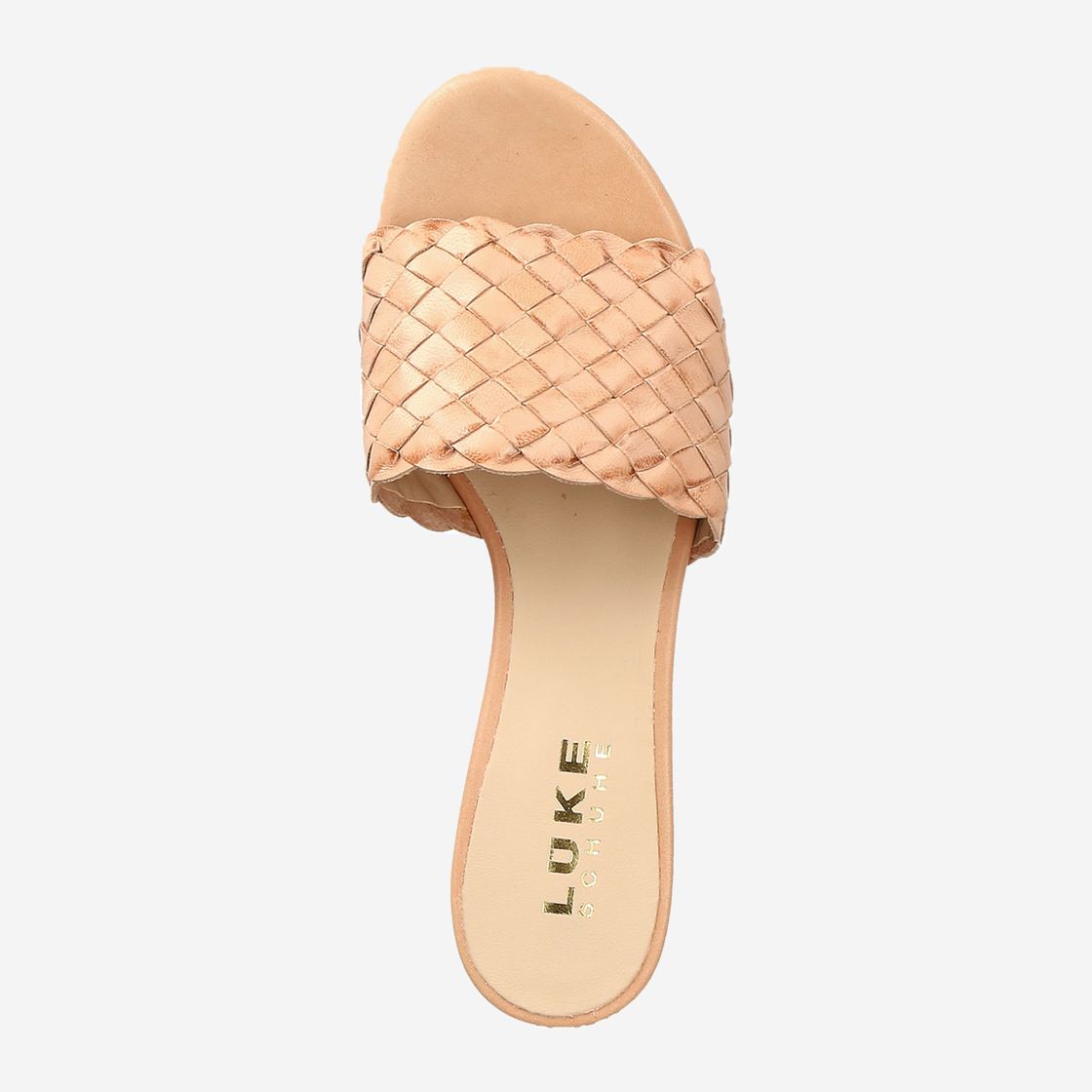 16347 - Rose - top view