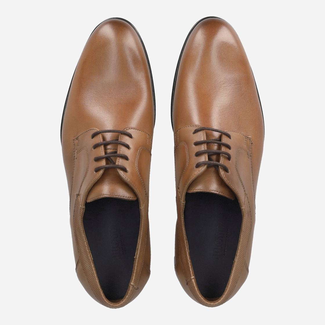 Lloyd LADOR - Brown - Rear view