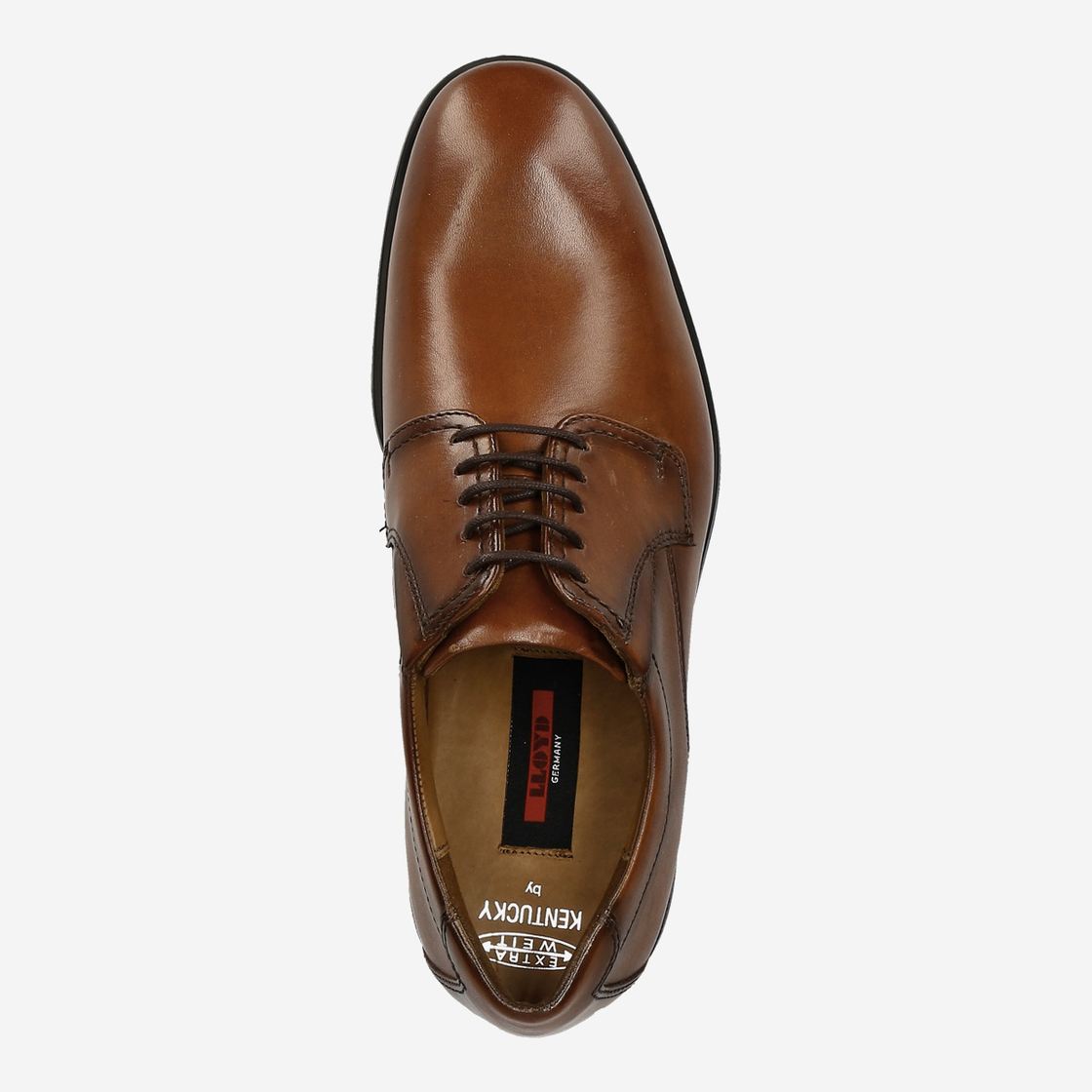 Lloyd KENTUCKY - Brown - Top view