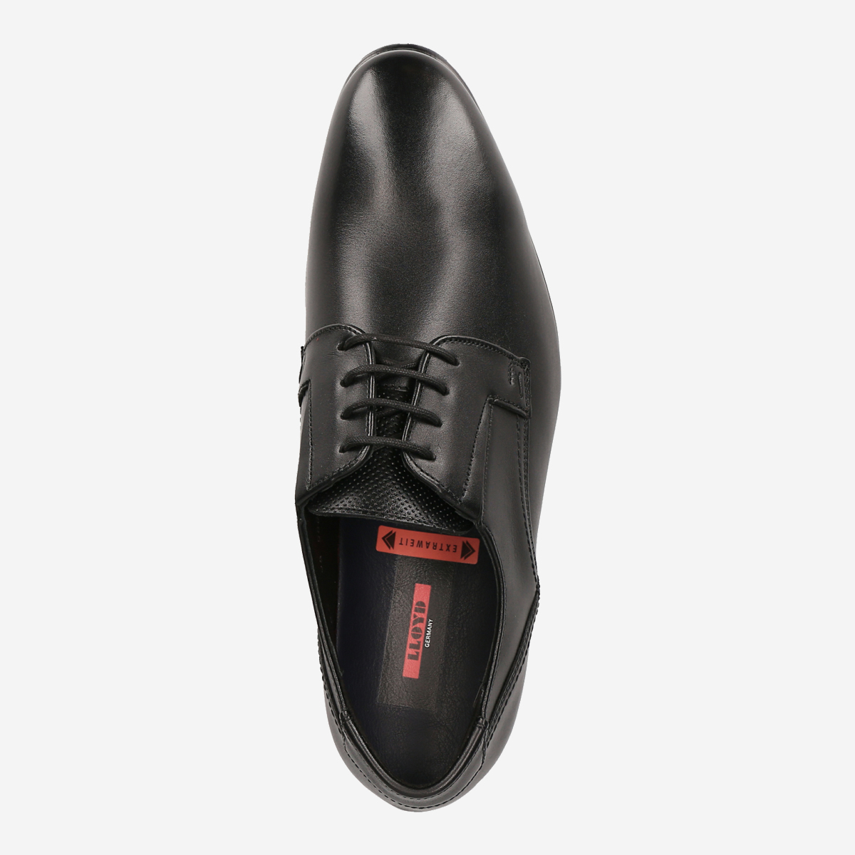 Lloyd deals derby shoes