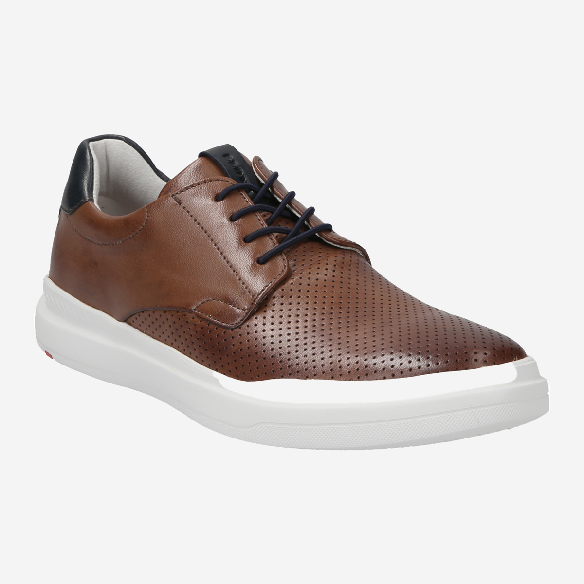 Lloyd 11-002-31* AGNEW Sneakers in brown buy online
