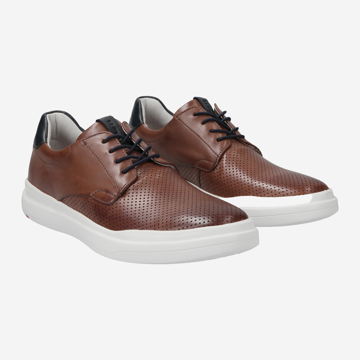 Lloyd 11-002-31* AGNEW Sneakers in brown buy online