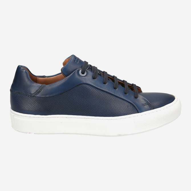 Lloyd AREA - Blue - Back view