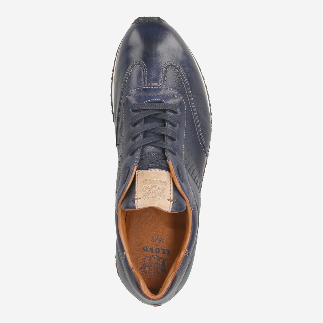 Lloyd 20-755-08* WALCOTT Sneakers in blue buy online