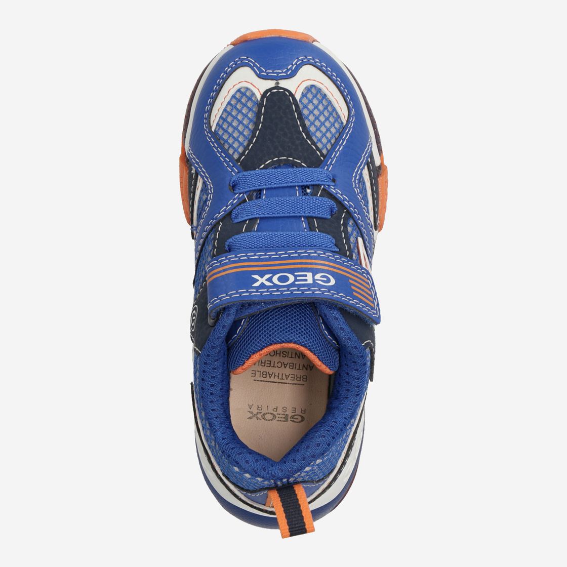 Geox BAYONYC - Blue, combined - sole