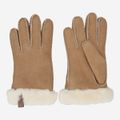 UGG australia SHORTY GLOVE - Brown - Rear View