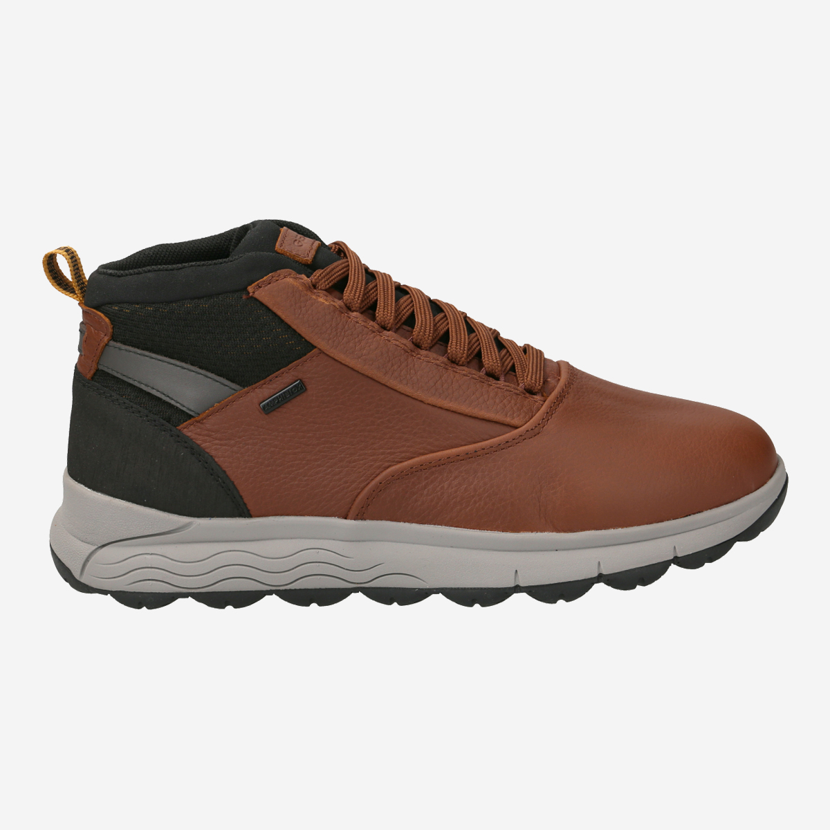 GEOX Art. SPHERICA 4X4 Sneakers in brown buy online