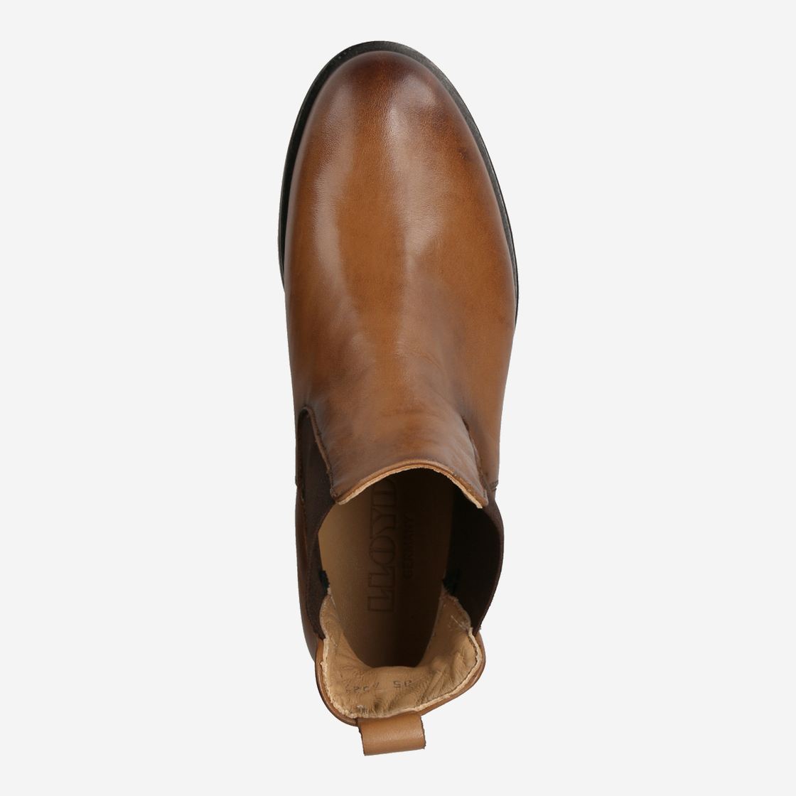 Lloyd 22-338-03 - Brown - Sole