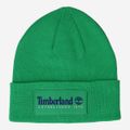 Timberland A2PTD Established 1973 Beanie - Green - Front View