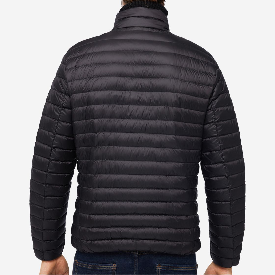 Geox WARRENS SHORT JACKET - Black - Top view