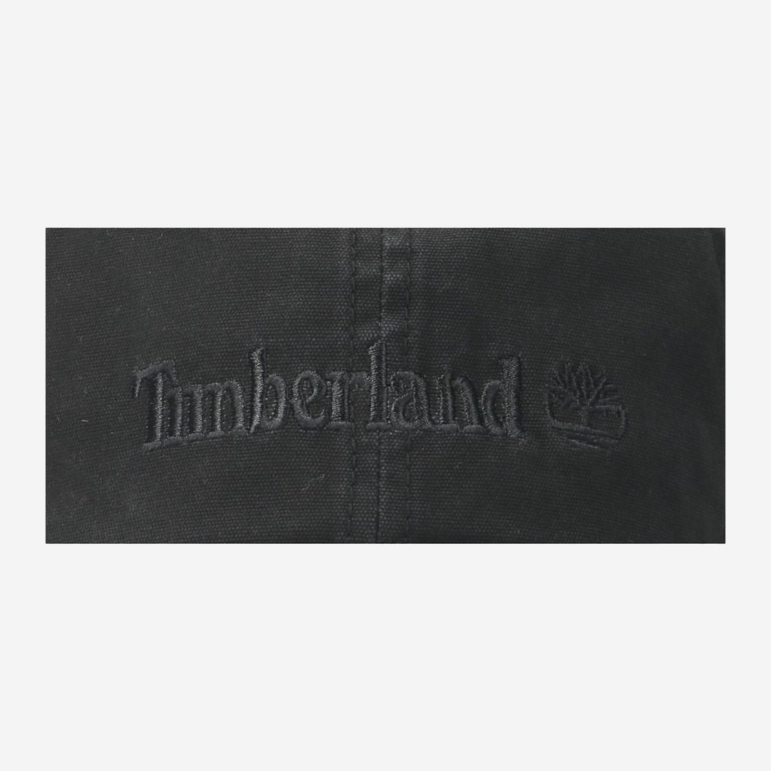 Timberland A1F54 Cotton Canvas BB Cap Sel - Black - Top View