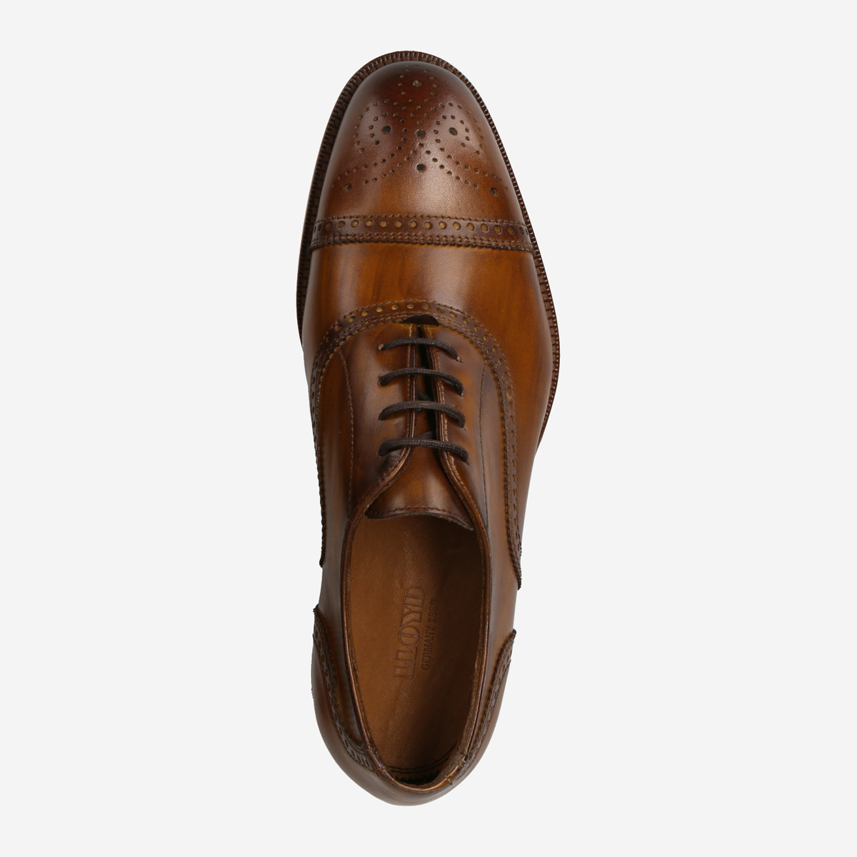 Lloyd 13-154-03* SHEFFIELD Lace-up shoes in brown buy online