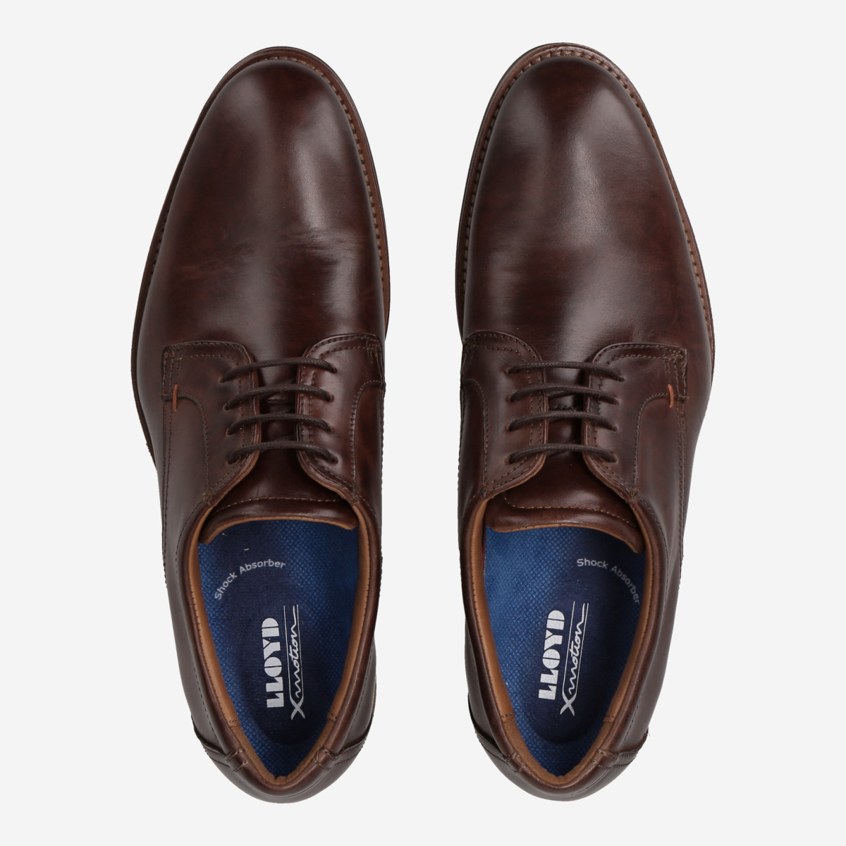 Lloyd 14-158-03 MARE Lace-up shoes in brown buy online