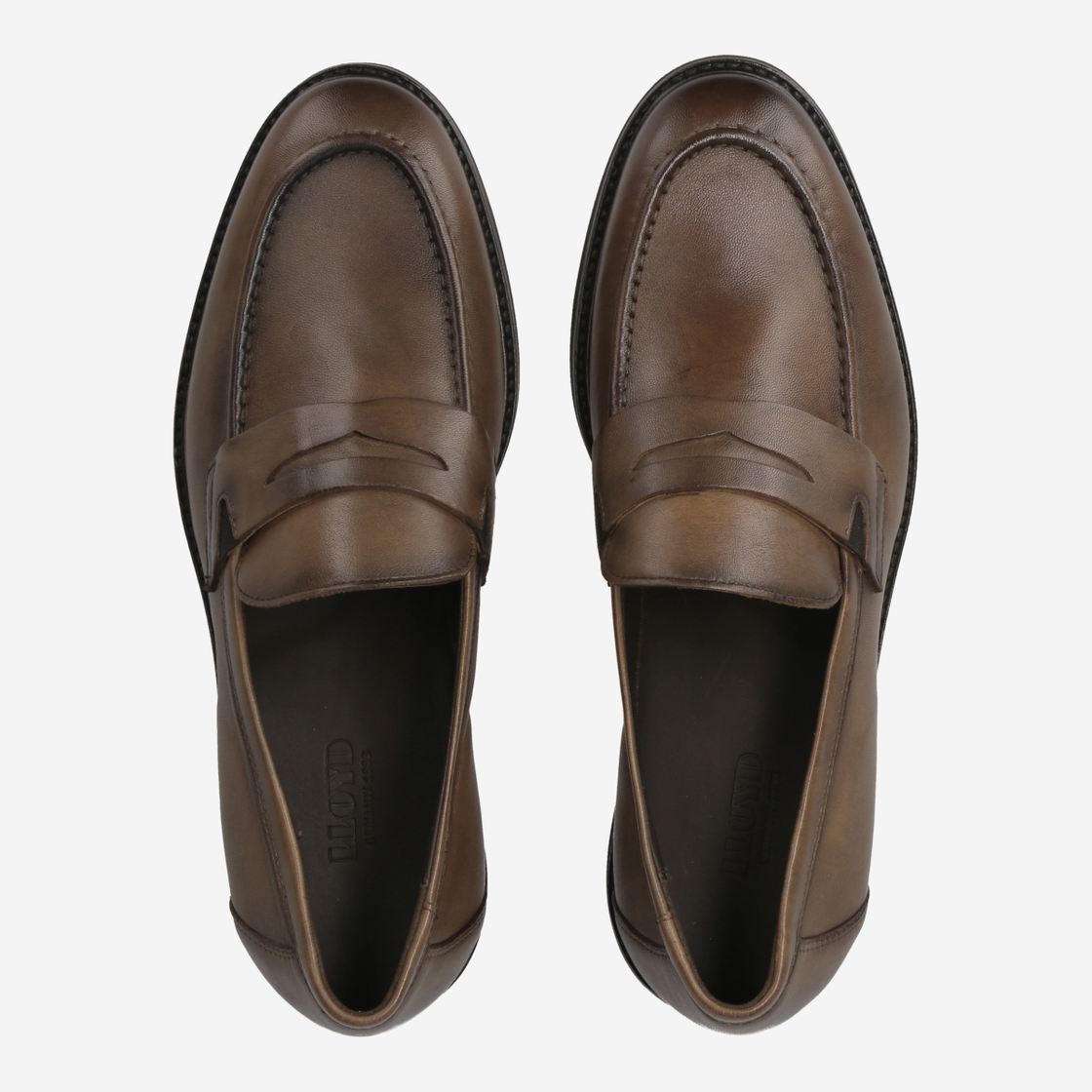 Lloyd 23-673-42 - Brown - Rear view