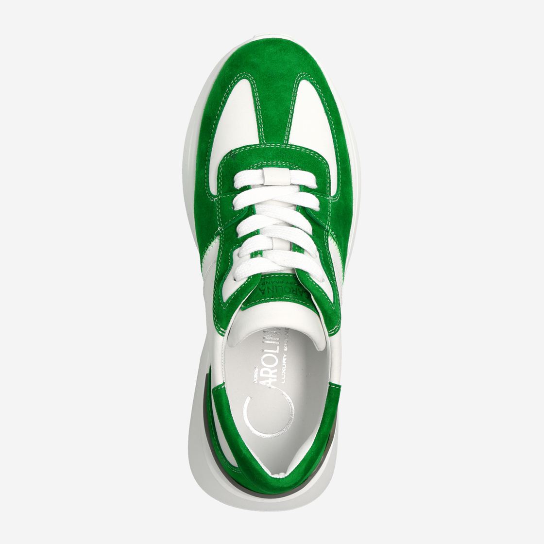 Donna Carolina SUED ERBA - Green - Back view