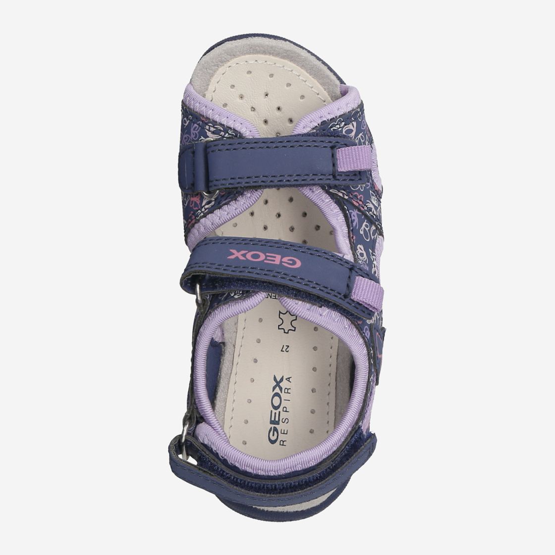 Geox WHINBERRY - Purple - Rear View