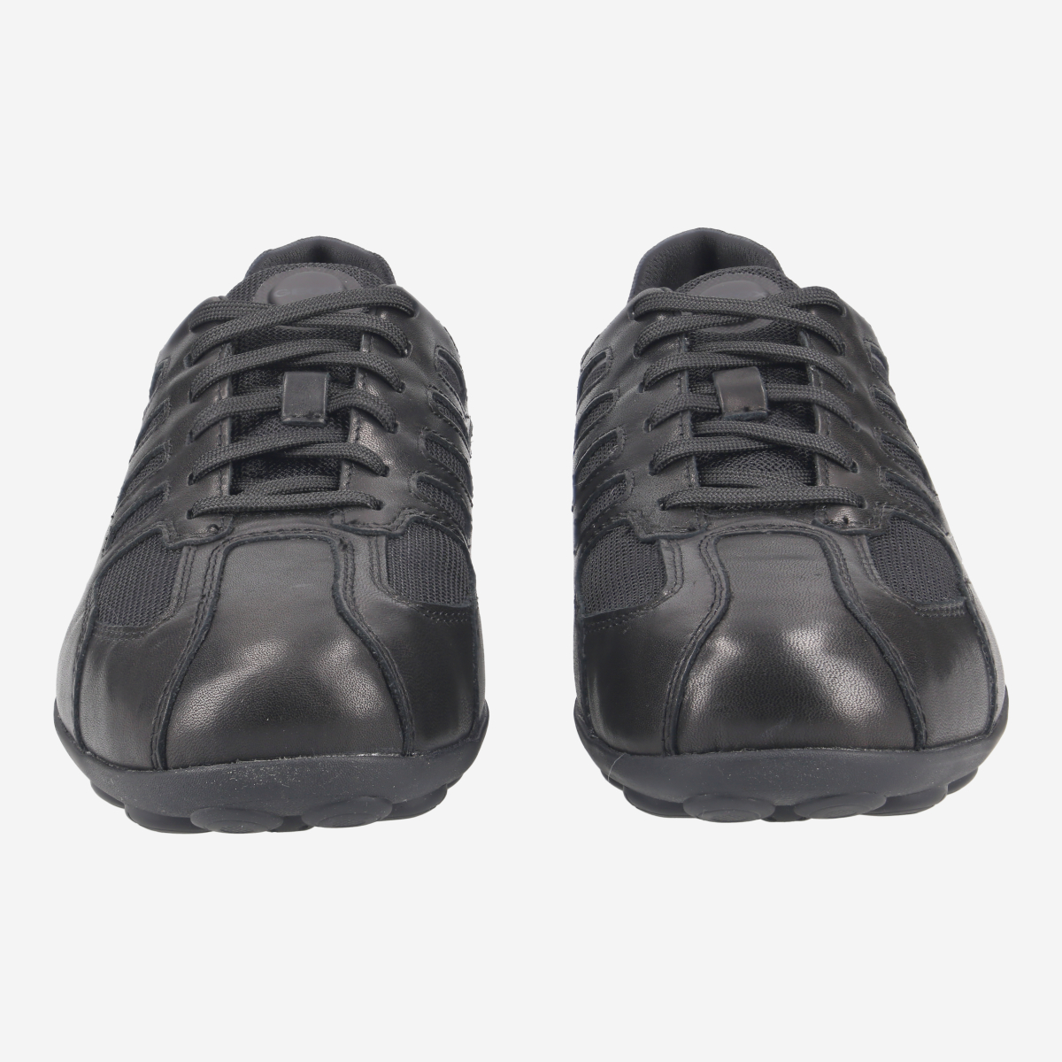 GEOX SNAKE Sneakers in black buy online