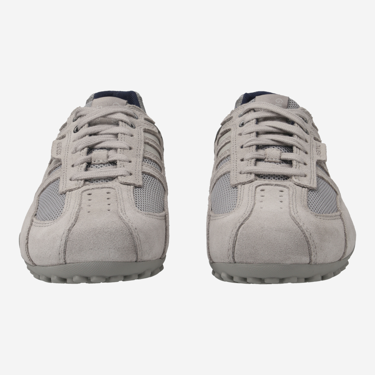 GEOX SNAKE Sneakers in gray buy online