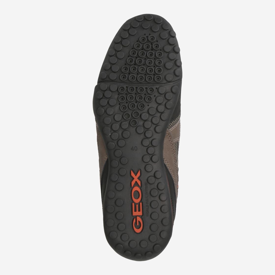 Geox SNAKE - Gray - Top view